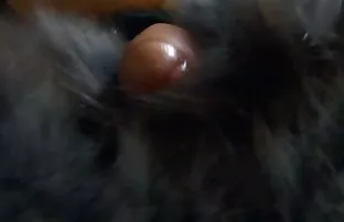 XXX Femdom for Man: معشوقه قصص جنس زوجات استراپن شخص در نکته